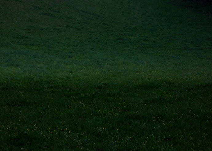 Splitting The Unknown | meadow